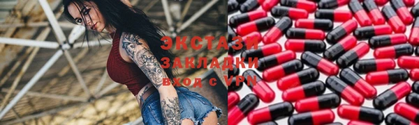 соль ск Ельня