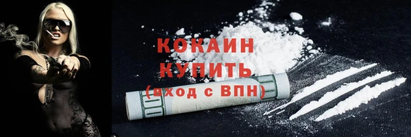 соль ск Ельня