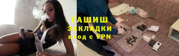соль ск Ельня
