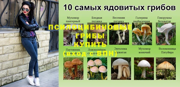 соль ск Ельня