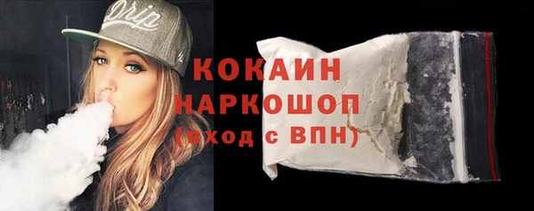 соль ск Ельня