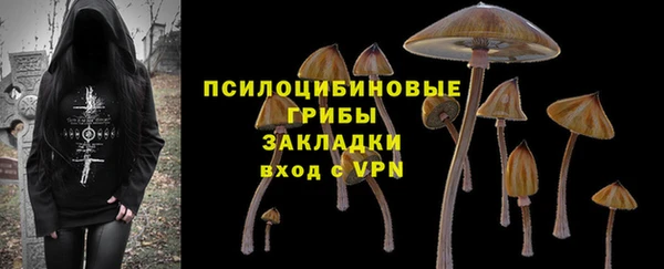 альфа пвп Елизово