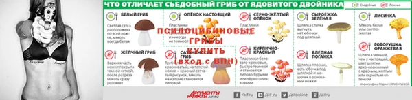 амф Елабуга