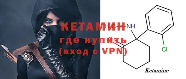 соль ск Ельня