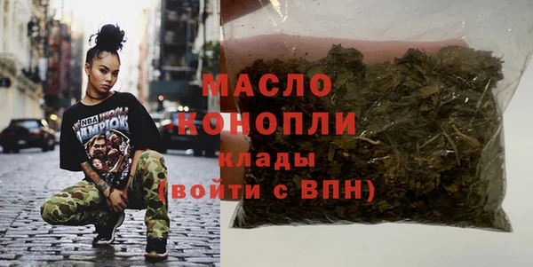 соль ск Ельня