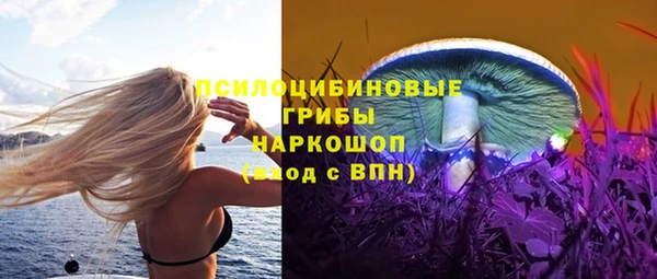 амф Елабуга
