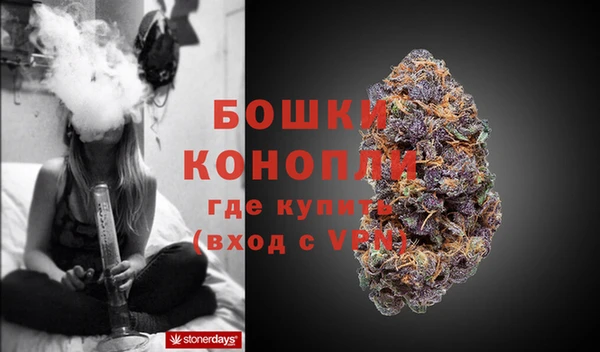 соль ск Ельня
