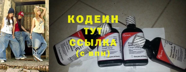 амф Елабуга