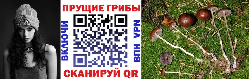 Псилоцибиновые грибы MAGIC MUSHROOMS  Буйнакск 